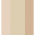 Other Beige Combinations