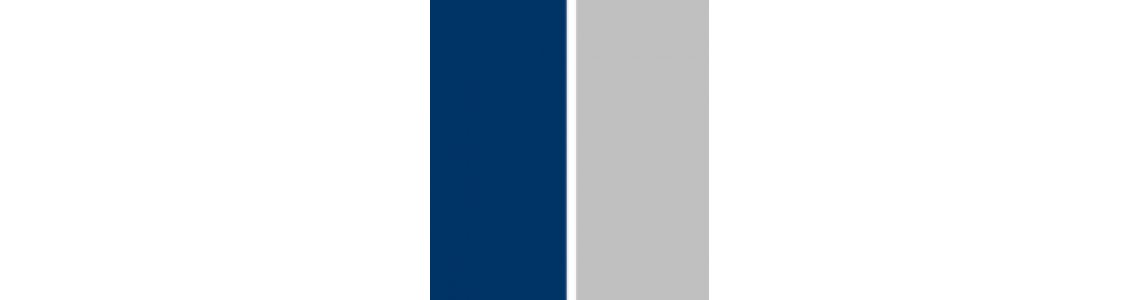 Blue & Silver