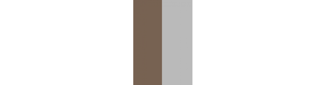 Brown & Silver