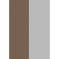 Brown & Silver