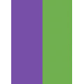 Purple & Green
