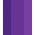 Other Purple Combinations